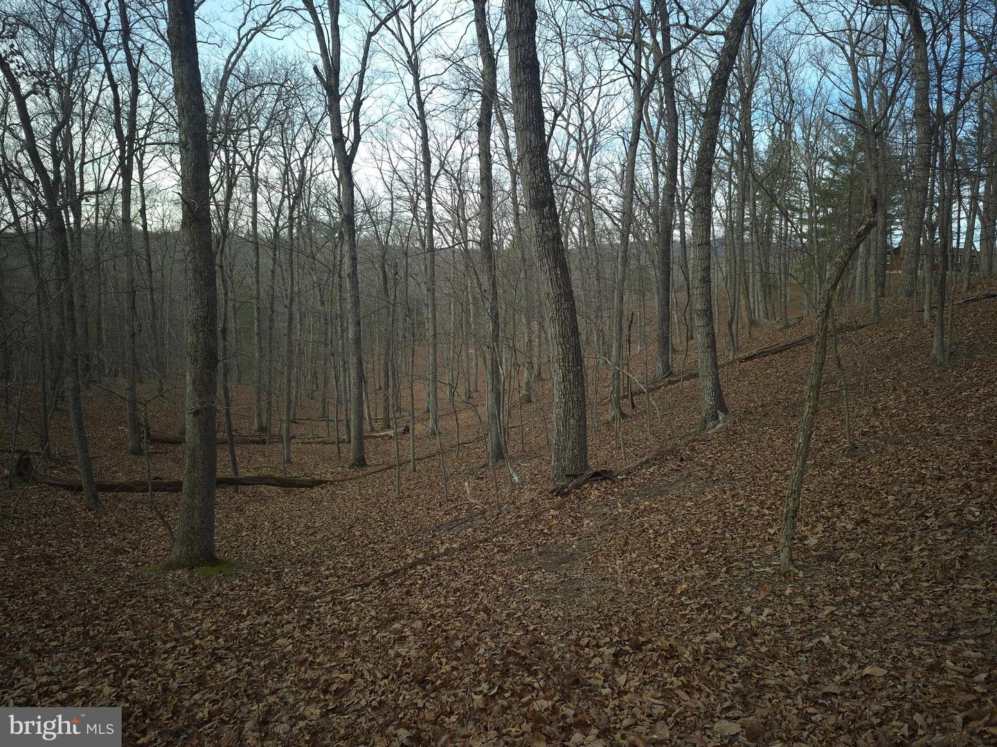 LOT 16 HODGES LN, WINCHESTER, Virginia 22603, ,Land,For sale,LOT 16 HODGES LN,VAFV2039238 MLS # VAFV2039238 LOT 16 HODGES LN, WINCHESTER, Virginia 22603, ,Land,For sale,LOT 16 HODGES LN,VAFV2039238 MLS # VAFV2039238