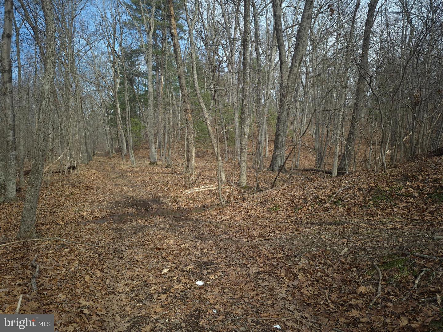 LOT 16 HODGES LN, WINCHESTER, Virginia 22603, ,Land,For sale,LOT 16 HODGES LN,VAFV2039238 MLS # VAFV2039238 LOT 16 HODGES LN, WINCHESTER, Virginia 22603, ,Land,For sale,LOT 16 HODGES LN,VAFV2039238 MLS # VAFV2039238