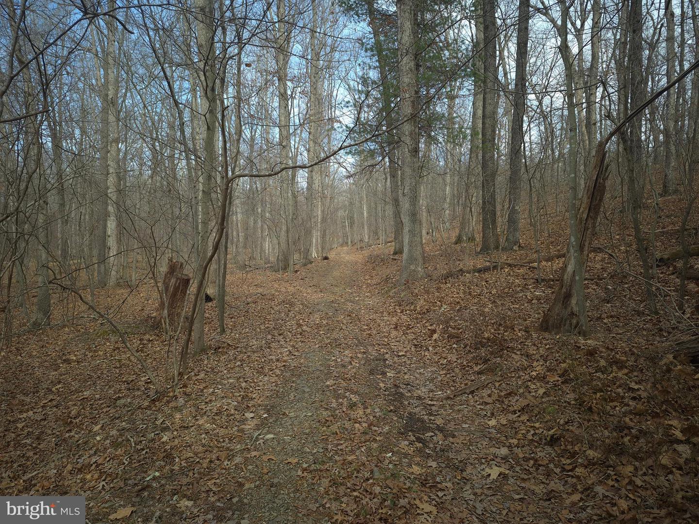 LOT 16 HODGES LN, WINCHESTER, Virginia 22603, ,Land,For sale,LOT 16 HODGES LN,VAFV2039238 MLS # VAFV2039238 LOT 16 HODGES LN, WINCHESTER, Virginia 22603, ,Land,For sale,LOT 16 HODGES LN,VAFV2039238 MLS # VAFV2039238