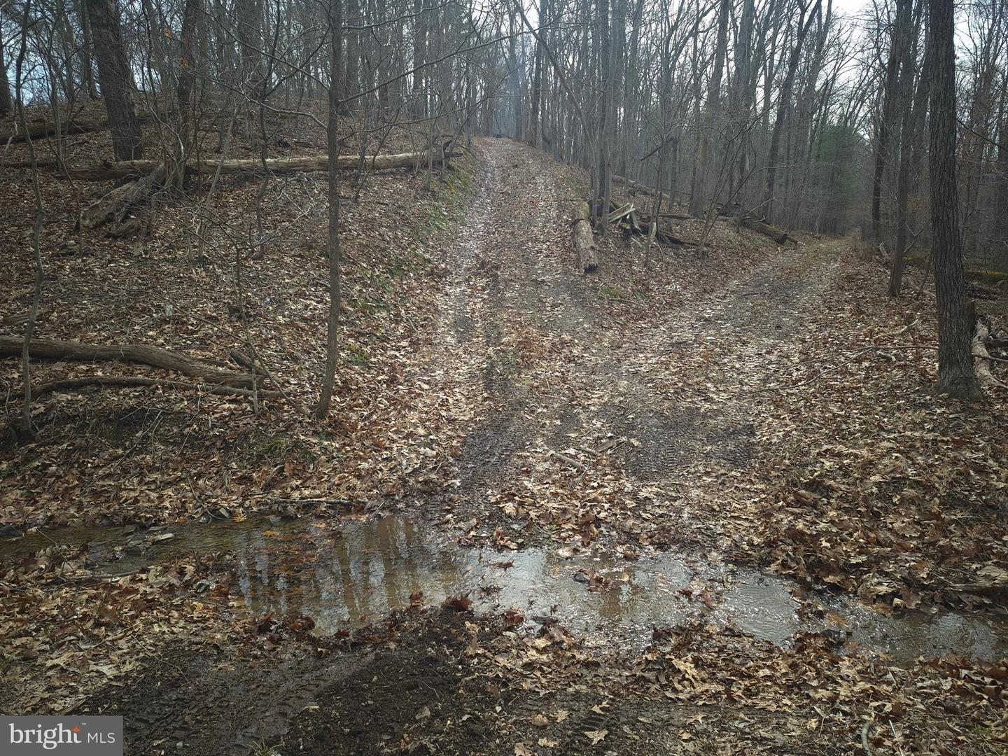 LOT 16 HODGES LN, WINCHESTER, Virginia 22603, ,Land,For sale,LOT 16 HODGES LN,VAFV2039238 MLS # VAFV2039238 LOT 16 HODGES LN, WINCHESTER, Virginia 22603, ,Land,For sale,LOT 16 HODGES LN,VAFV2039238 MLS # VAFV2039238