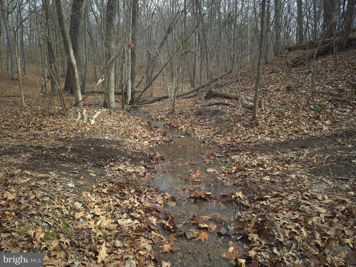 LOT 16 HODGES LN, WINCHESTER, Virginia 22603, ,Land,For sale,LOT 16 HODGES LN,VAFV2039238 MLS # VAFV2039238 LOT 16 HODGES LN, WINCHESTER, Virginia 22603, ,Land,For sale,LOT 16 HODGES LN,VAFV2039238 MLS # VAFV2039238