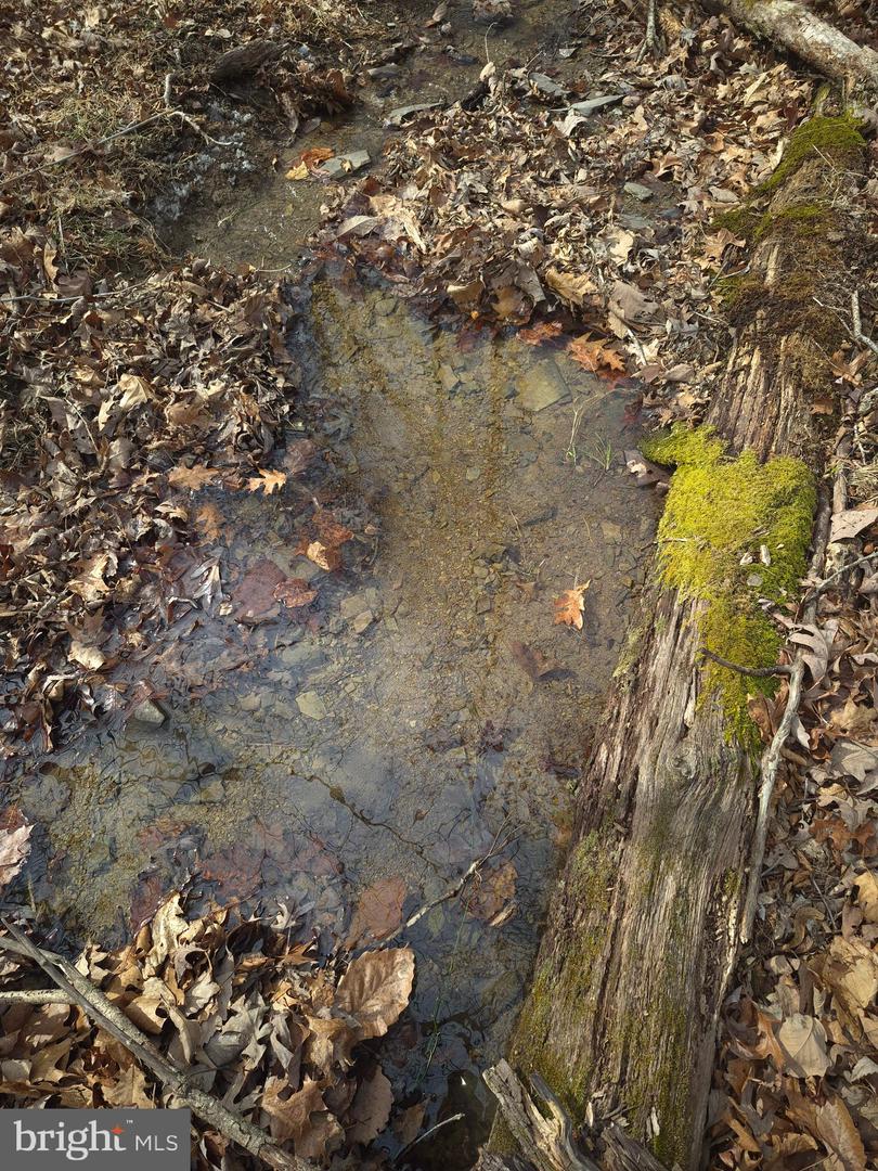 LOT 16 HODGES LN, WINCHESTER, Virginia 22603, ,Land,For sale,LOT 16 HODGES LN,VAFV2039238 MLS # VAFV2039238 LOT 16 HODGES LN, WINCHESTER, Virginia 22603, ,Land,For sale,LOT 16 HODGES LN,VAFV2039238 MLS # VAFV2039238