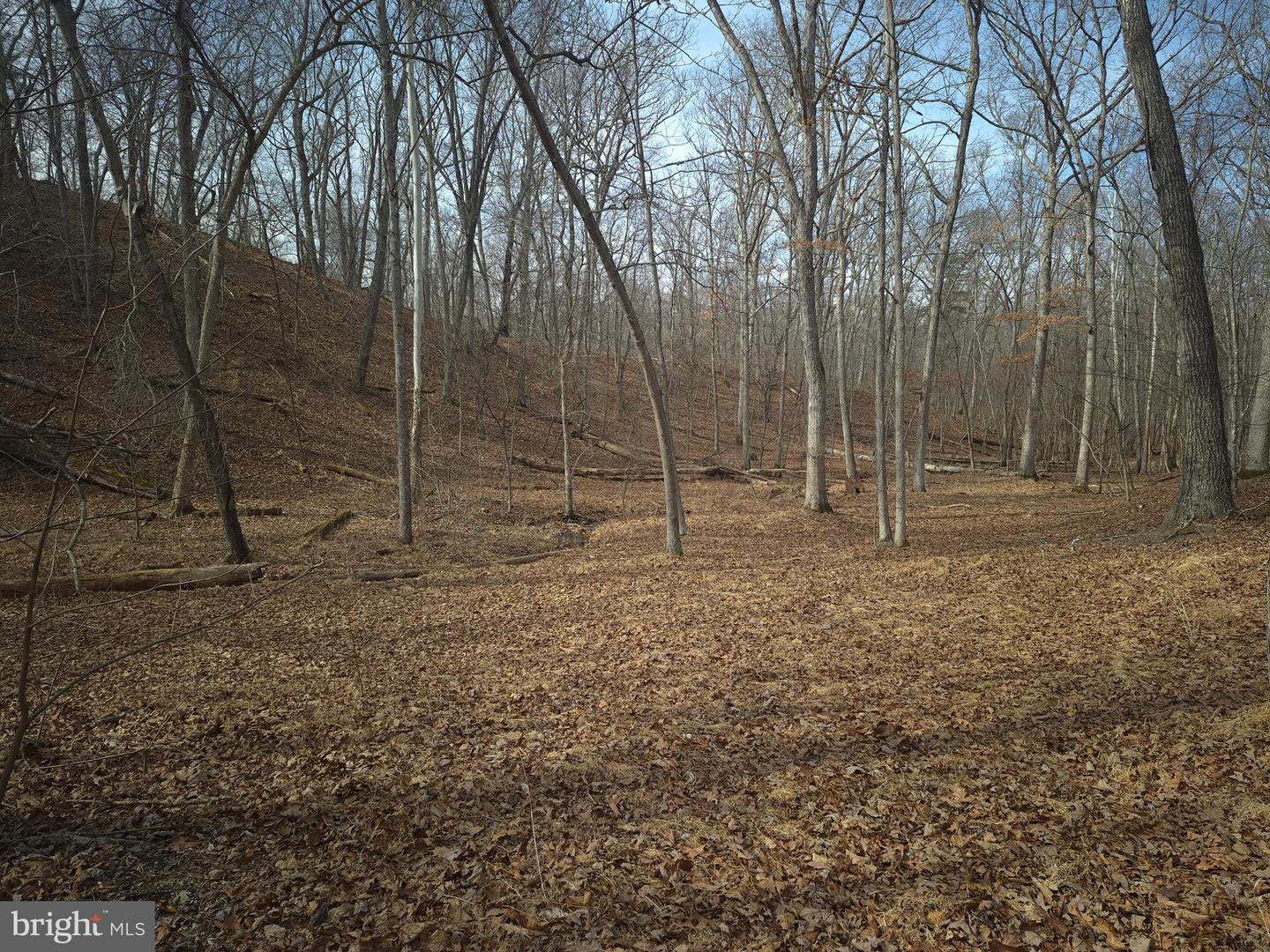 LOT 16 HODGES LN, WINCHESTER, Virginia 22603, ,Land,For sale,LOT 16 HODGES LN,VAFV2039238 MLS # VAFV2039238 LOT 16 HODGES LN, WINCHESTER, Virginia 22603, ,Land,For sale,LOT 16 HODGES LN,VAFV2039238 MLS # VAFV2039238