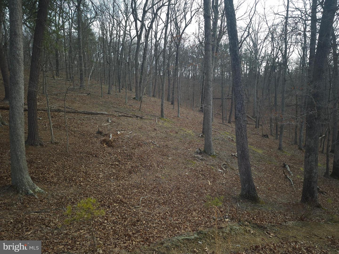 LOT 16 HODGES LN, WINCHESTER, Virginia 22603, ,Land,For sale,LOT 16 HODGES LN,VAFV2039238 MLS # VAFV2039238 LOT 16 HODGES LN, WINCHESTER, Virginia 22603, ,Land,For sale,LOT 16 HODGES LN,VAFV2039238 MLS # VAFV2039238