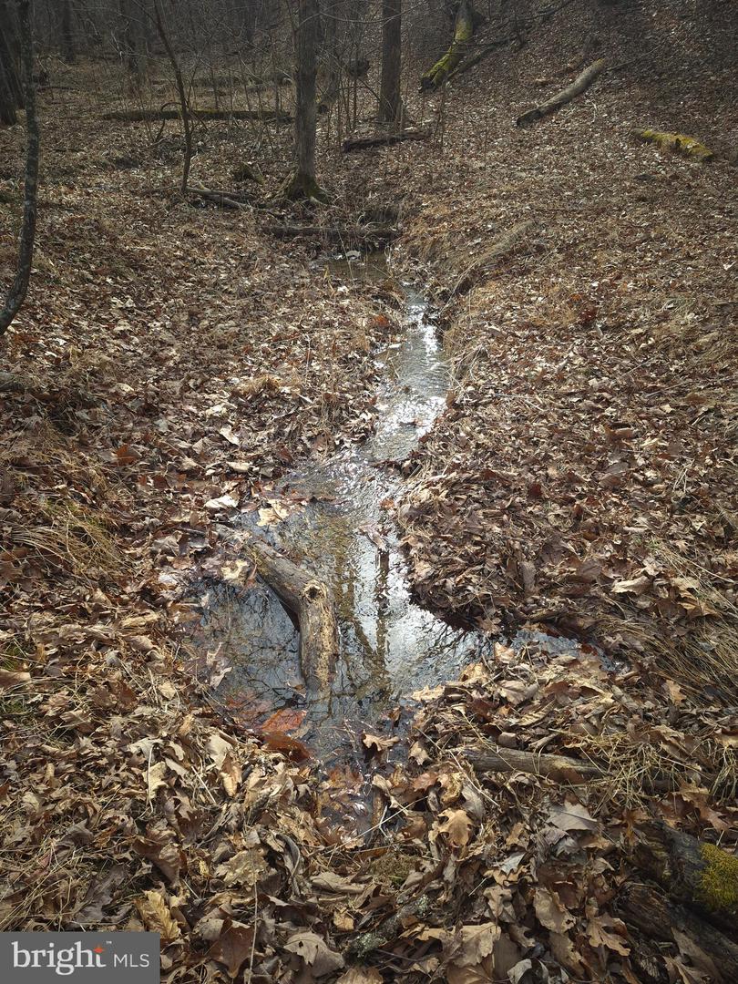 LOT 16 HODGES LN, WINCHESTER, Virginia 22603, ,Land,For sale,LOT 16 HODGES LN,VAFV2039238 MLS # VAFV2039238 LOT 16 HODGES LN, WINCHESTER, Virginia 22603, ,Land,For sale,LOT 16 HODGES LN,VAFV2039238 MLS # VAFV2039238