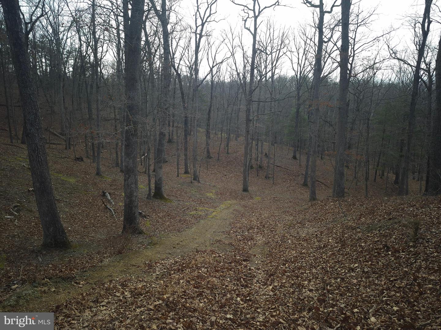 LOT 16 HODGES LN, WINCHESTER, Virginia 22603, ,Land,For sale,LOT 16 HODGES LN,VAFV2039238 MLS # VAFV2039238 LOT 16 HODGES LN, WINCHESTER, Virginia 22603, ,Land,For sale,LOT 16 HODGES LN,VAFV2039238 MLS # VAFV2039238