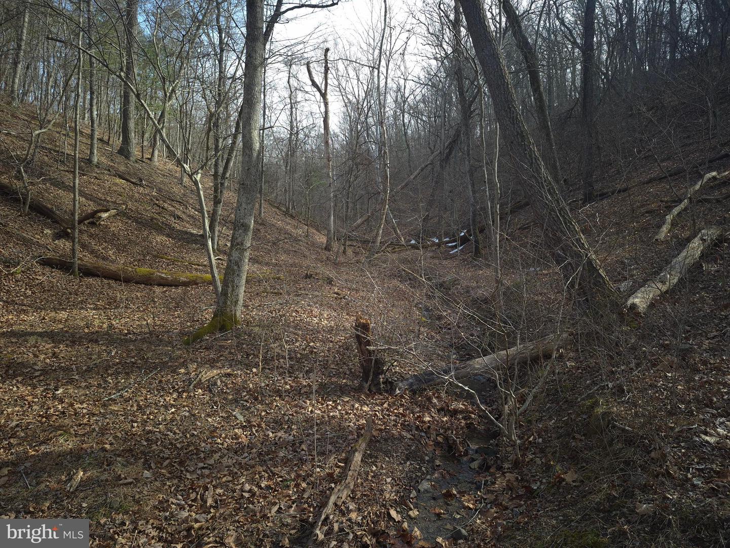 196 HODGES LN, WINCHESTER, Virginia 22603, ,Land,For sale,196 HODGES LN,VAFV2039240 MLS # VAFV2039240 196 HODGES LN, WINCHESTER, Virginia 22603, ,Land,For sale,196 HODGES LN,VAFV2039240 MLS # VAFV2039240