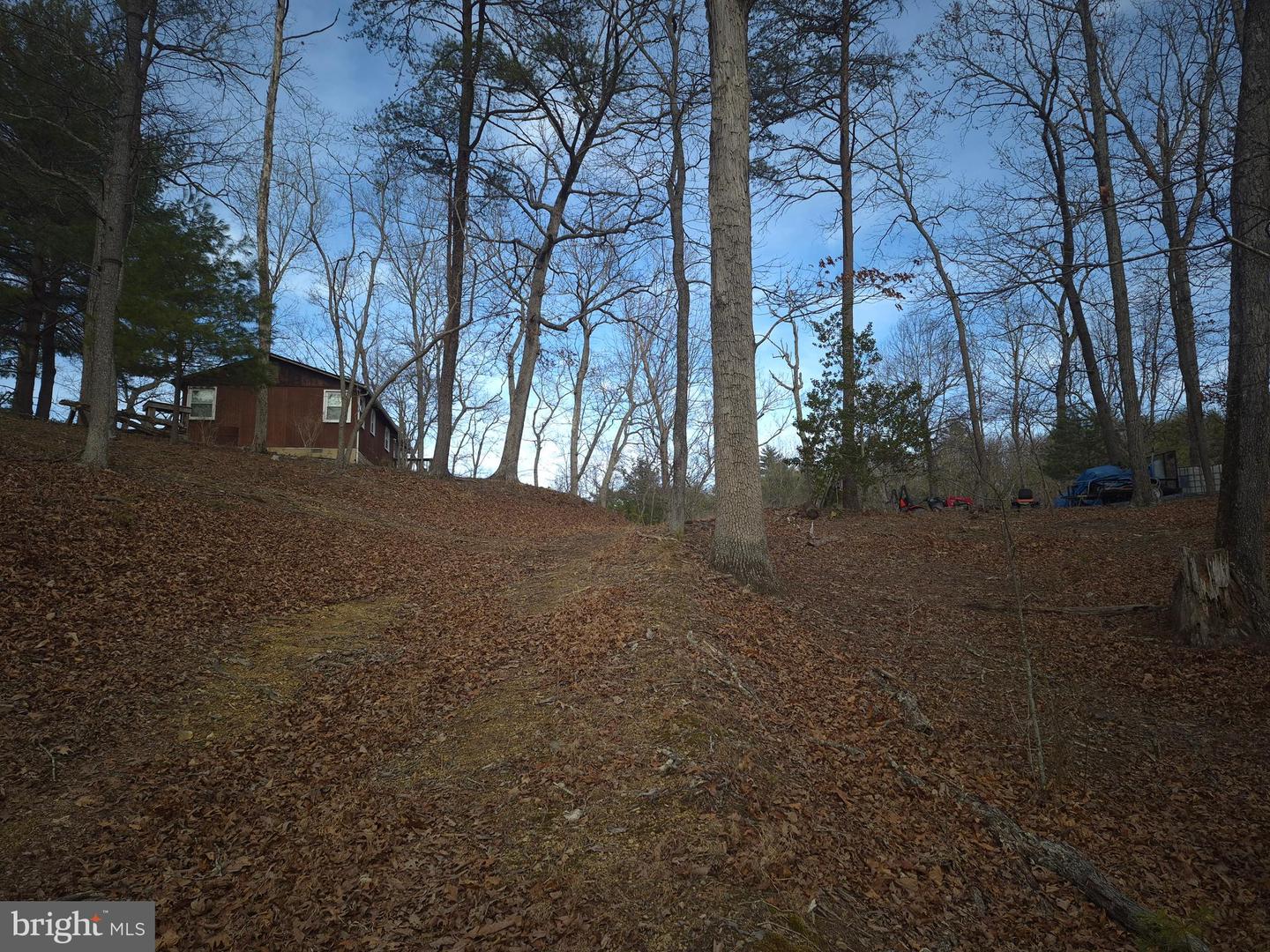 196 HODGES LN, WINCHESTER, Virginia 22603, ,Land,For sale,196 HODGES LN,VAFV2039240 MLS # VAFV2039240 196 HODGES LN, WINCHESTER, Virginia 22603, ,Land,For sale,196 HODGES LN,VAFV2039240 MLS # VAFV2039240