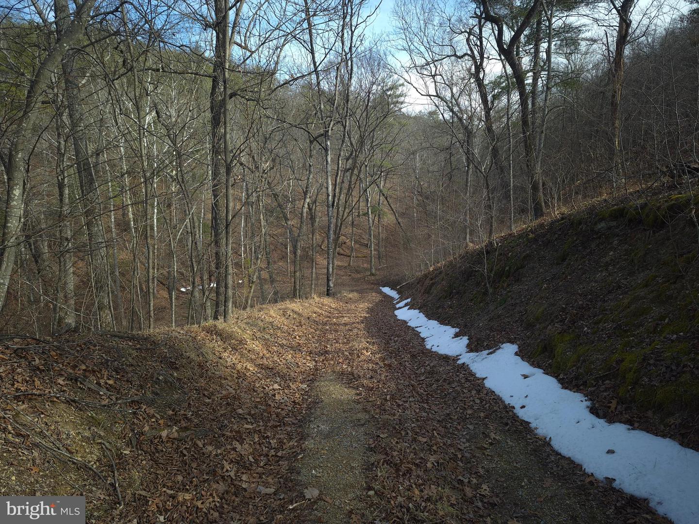 196 HODGES LN, WINCHESTER, Virginia 22603, ,Land,For sale,196 HODGES LN,VAFV2039240 MLS # VAFV2039240 196 HODGES LN, WINCHESTER, Virginia 22603, ,Land,For sale,196 HODGES LN,VAFV2039240 MLS # VAFV2039240