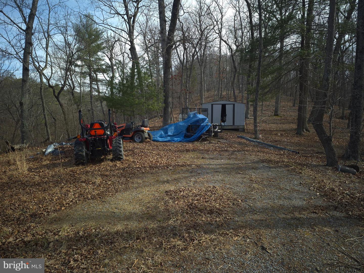 196 HODGES LN, WINCHESTER, Virginia 22603, ,Land,For sale,196 HODGES LN,VAFV2039240 MLS # VAFV2039240 196 HODGES LN, WINCHESTER, Virginia 22603, ,Land,For sale,196 HODGES LN,VAFV2039240 MLS # VAFV2039240