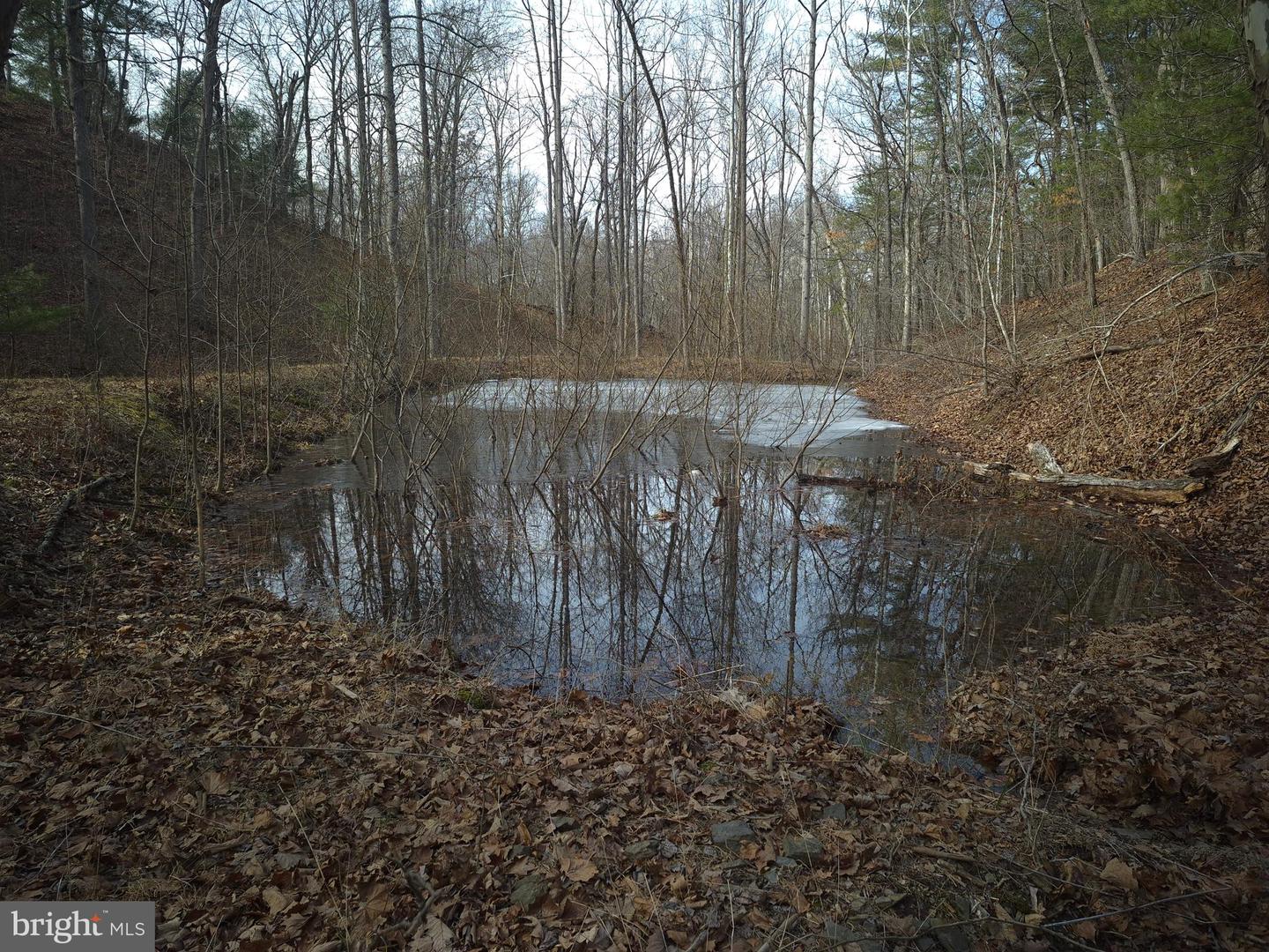 196 HODGES LN, WINCHESTER, Virginia 22603, ,Land,For sale,196 HODGES LN,VAFV2039240 MLS # VAFV2039240 196 HODGES LN, WINCHESTER, Virginia 22603, ,Land,For sale,196 HODGES LN,VAFV2039240 MLS # VAFV2039240