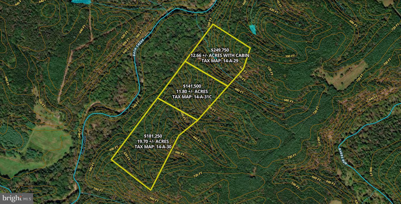 196 HODGES LN, WINCHESTER, Virginia 22603, ,Land,For sale,196 HODGES LN,VAFV2039240 MLS # VAFV2039240 196 HODGES LN, WINCHESTER, Virginia 22603, ,Land,For sale,196 HODGES LN,VAFV2039240 MLS # VAFV2039240