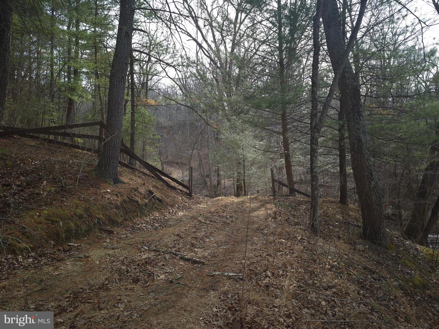 196 HODGES LN, WINCHESTER, Virginia 22603, ,Land,For sale,196 HODGES LN,VAFV2039240 MLS # VAFV2039240 196 HODGES LN, WINCHESTER, Virginia 22603, ,Land,For sale,196 HODGES LN,VAFV2039240 MLS # VAFV2039240