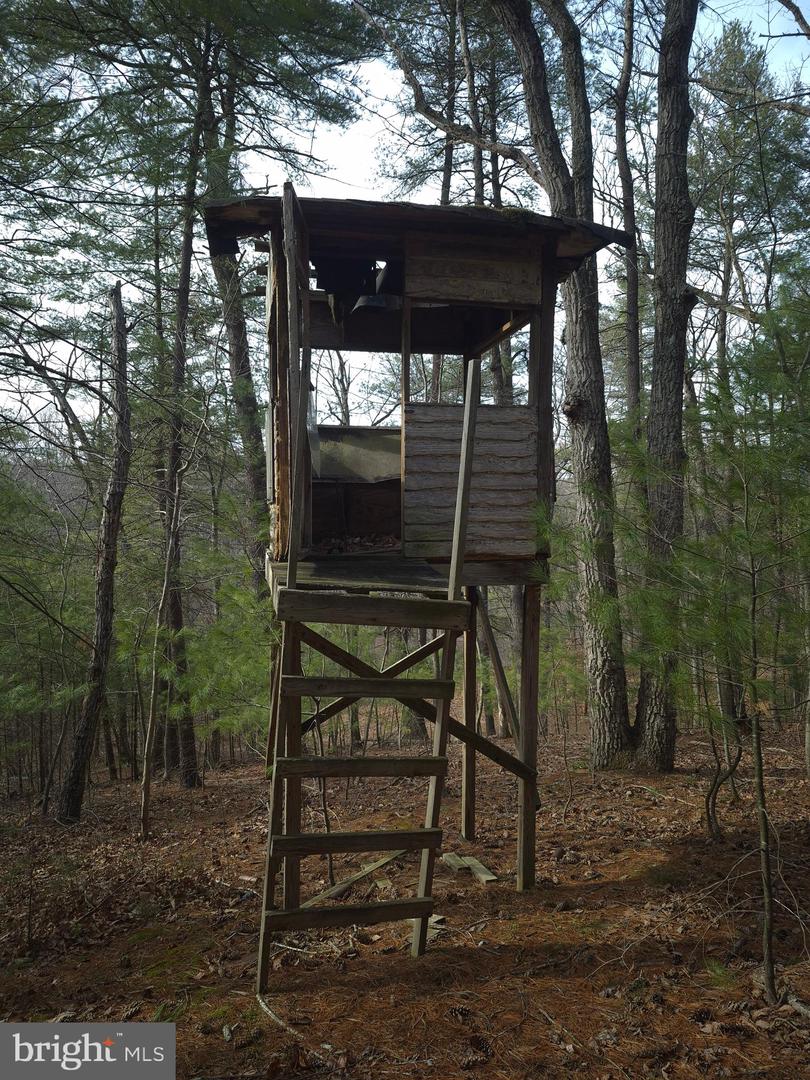 196 HODGES LN, WINCHESTER, Virginia 22603, ,Land,For sale,196 HODGES LN,VAFV2039240 MLS # VAFV2039240 196 HODGES LN, WINCHESTER, Virginia 22603, ,Land,For sale,196 HODGES LN,VAFV2039240 MLS # VAFV2039240