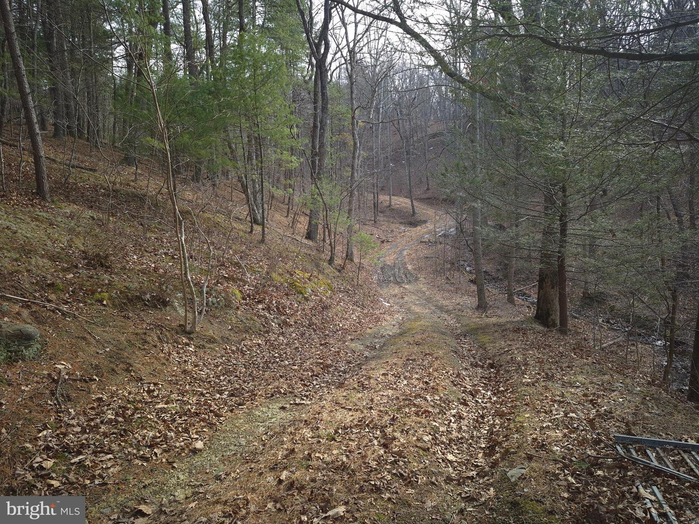 196 HODGES LN, WINCHESTER, Virginia 22603, ,Land,For sale,196 HODGES LN,VAFV2039240 MLS # VAFV2039240 196 HODGES LN, WINCHESTER, Virginia 22603, ,Land,For sale,196 HODGES LN,VAFV2039240 MLS # VAFV2039240