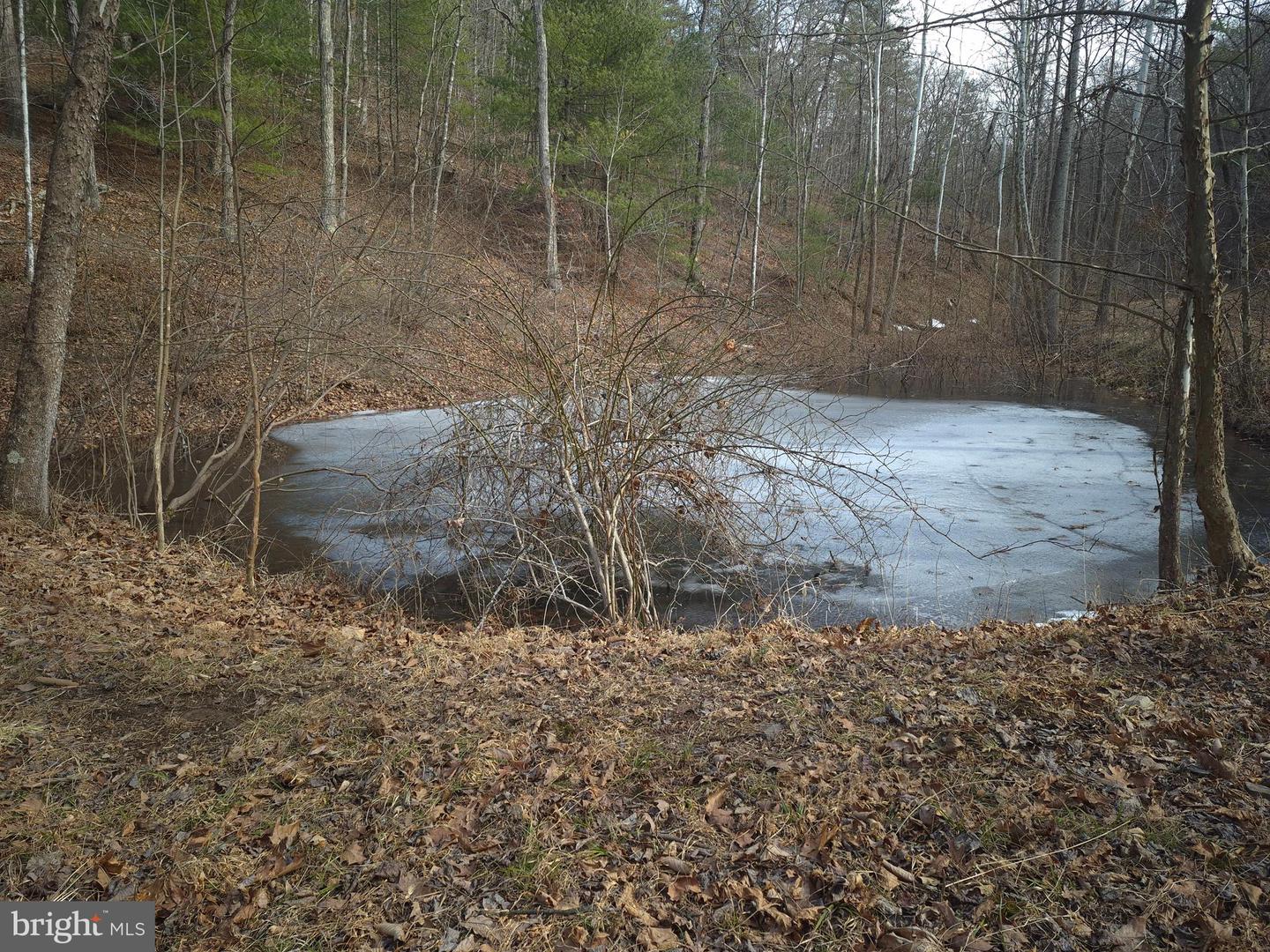 196 HODGES LN, WINCHESTER, Virginia 22603, ,Land,For sale,196 HODGES LN,VAFV2039240 MLS # VAFV2039240 196 HODGES LN, WINCHESTER, Virginia 22603, ,Land,For sale,196 HODGES LN,VAFV2039240 MLS # VAFV2039240