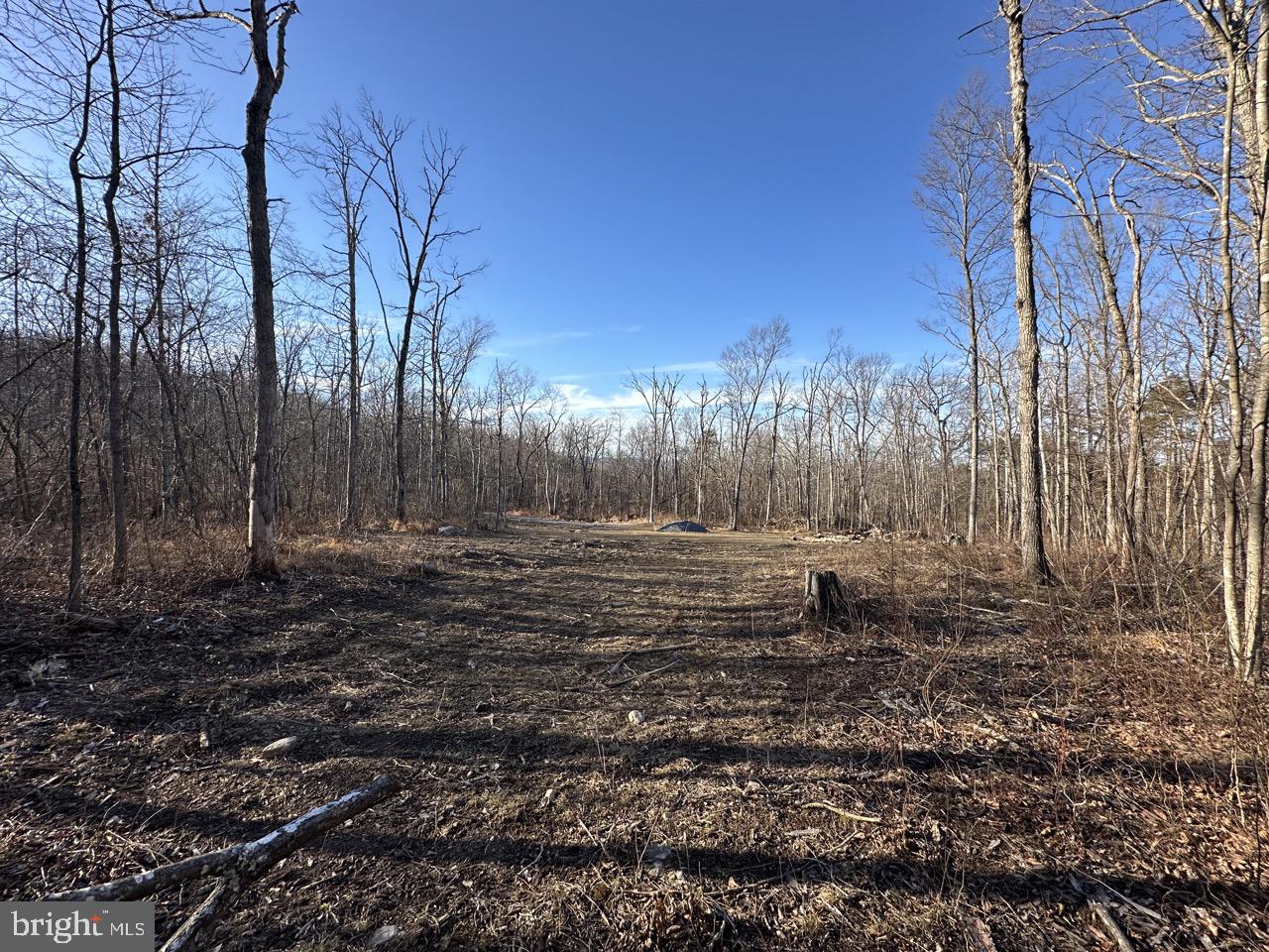 0 STONEY MOUNTAIN DR, STRASBURG, Virginia 22657, ,Land,For sale,0 STONEY MOUNTAIN DR,VAWR2013500 MLS # VAWR2013500