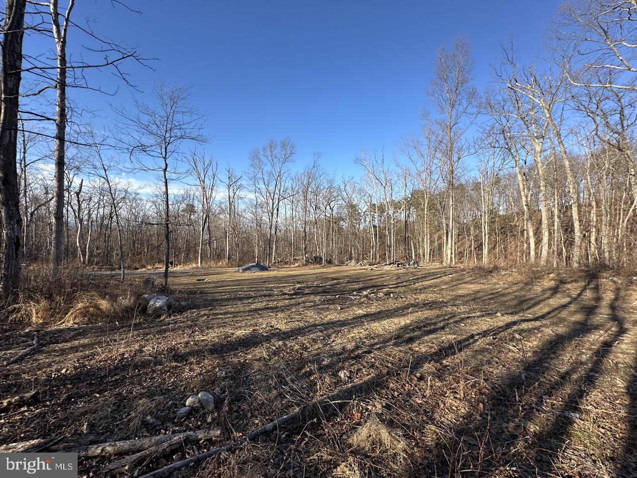 0 STONEY MOUNTAIN DR, STRASBURG, Virginia 22657, ,Land,For sale,0 STONEY MOUNTAIN DR,VAWR2013500 MLS # VAWR2013500