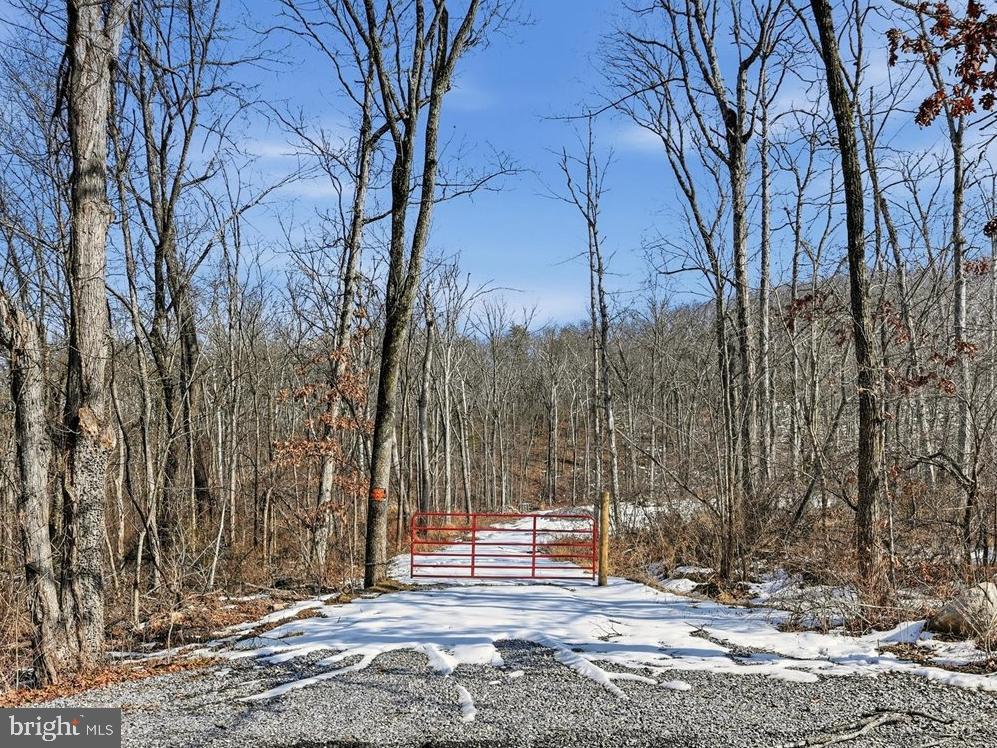 0 STONEY MOUNTAIN DR, STRASBURG, Virginia 22657, ,Land,For sale,0 STONEY MOUNTAIN DR,VAWR2013500 MLS # VAWR2013500