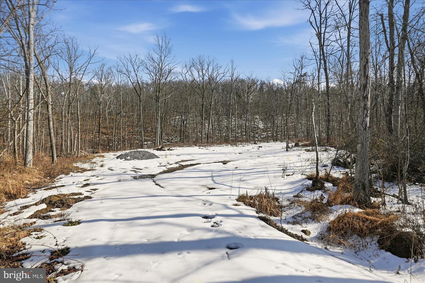 0 STONEY MOUNTAIN DR, STRASBURG, Virginia 22657, ,Land,For sale,0 STONEY MOUNTAIN DR,VAWR2013500 MLS # VAWR2013500