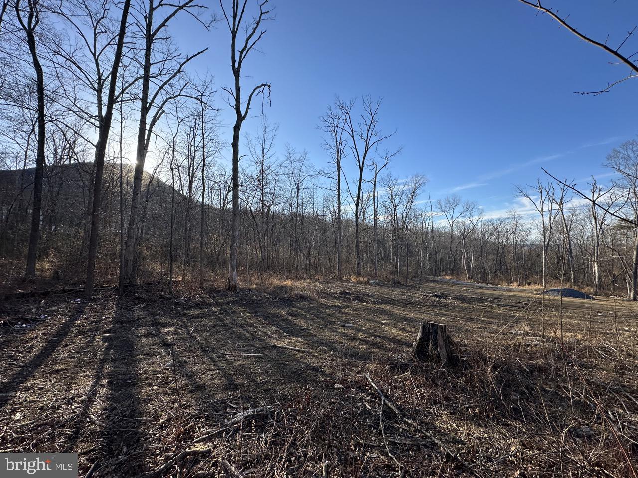 0 STONEY MOUNTAIN DR, STRASBURG, Virginia 22657, ,Land,For sale,0 STONEY MOUNTAIN DR,VAWR2013500 MLS # VAWR2013500