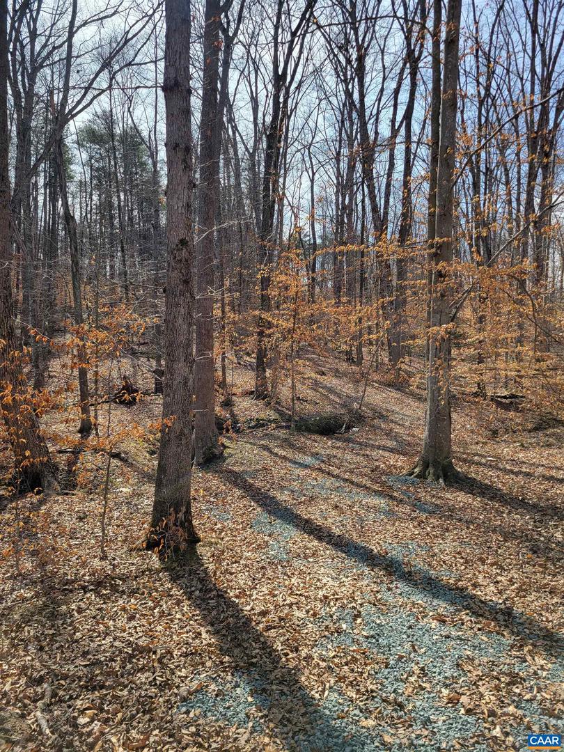 0 LEXIE LN, PALMYRA, Virginia 22963, ,Land,For sale,0 LEXIE LN,673604 MLS # 673604 0 LEXIE LN, PALMYRA, Virginia 22963, ,Land,For sale,0 LEXIE LN,673604 MLS # 673604