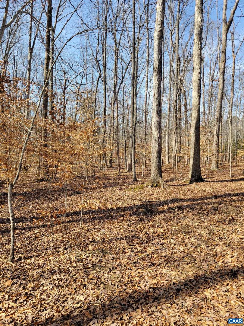 0 LEXIE LN, PALMYRA, Virginia 22963, ,Land,For sale,0 LEXIE LN,673604 MLS # 673604 0 LEXIE LN, PALMYRA, Virginia 22963, ,Land,For sale,0 LEXIE LN,673604 MLS # 673604