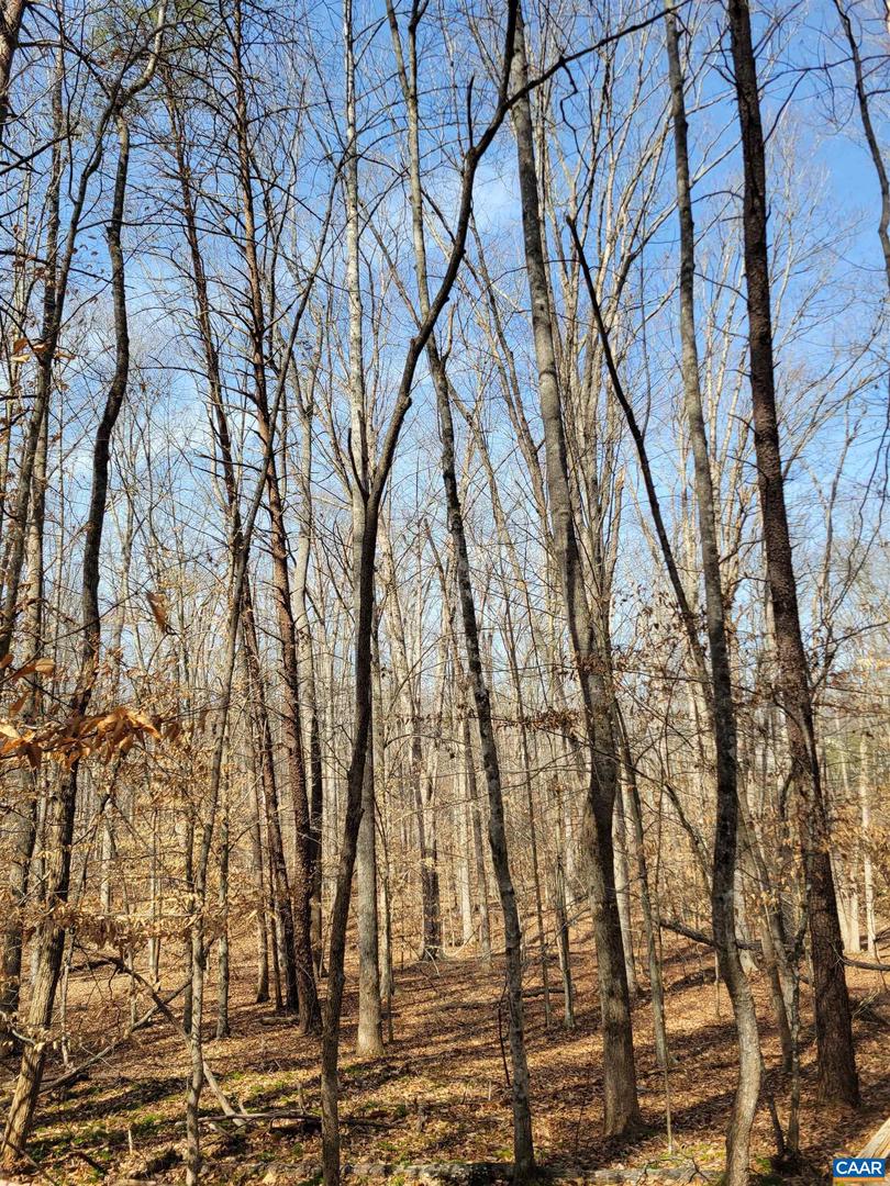 0 LEXIE LN, PALMYRA, Virginia 22963, ,Land,For sale,0 LEXIE LN,673604 MLS # 673604 0 LEXIE LN, PALMYRA, Virginia 22963, ,Land,For sale,0 LEXIE LN,673604 MLS # 673604