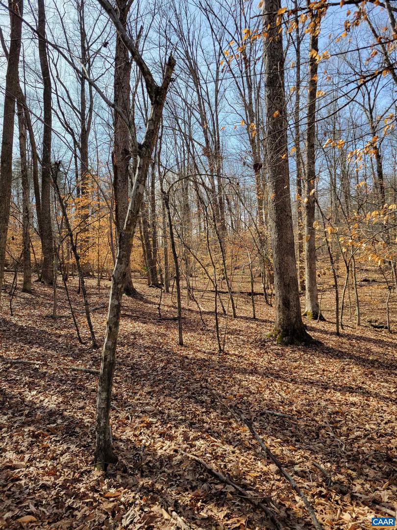 0 LEXIE LN, PALMYRA, Virginia 22963, ,Land,For sale,0 LEXIE LN,673604 MLS # 673604 0 LEXIE LN, PALMYRA, Virginia 22963, ,Land,For sale,0 LEXIE LN,673604 MLS # 673604