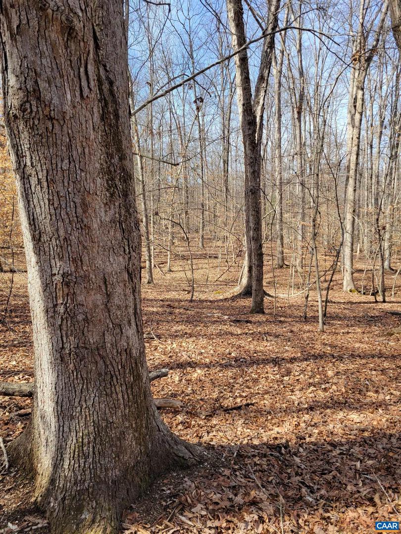 0 LEXIE LN, PALMYRA, Virginia 22963, ,Land,For sale,0 LEXIE LN,673604 MLS # 673604 0 LEXIE LN, PALMYRA, Virginia 22963, ,Land,For sale,0 LEXIE LN,673604 MLS # 673604