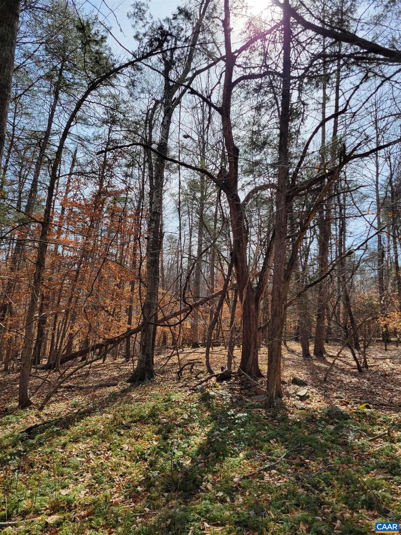 0 LEXIE LN, PALMYRA, Virginia 22963, ,Land,For sale,0 LEXIE LN,673604 MLS # 673604 0 LEXIE LN, PALMYRA, Virginia 22963, ,Land,For sale,0 LEXIE LN,673604 MLS # 673604