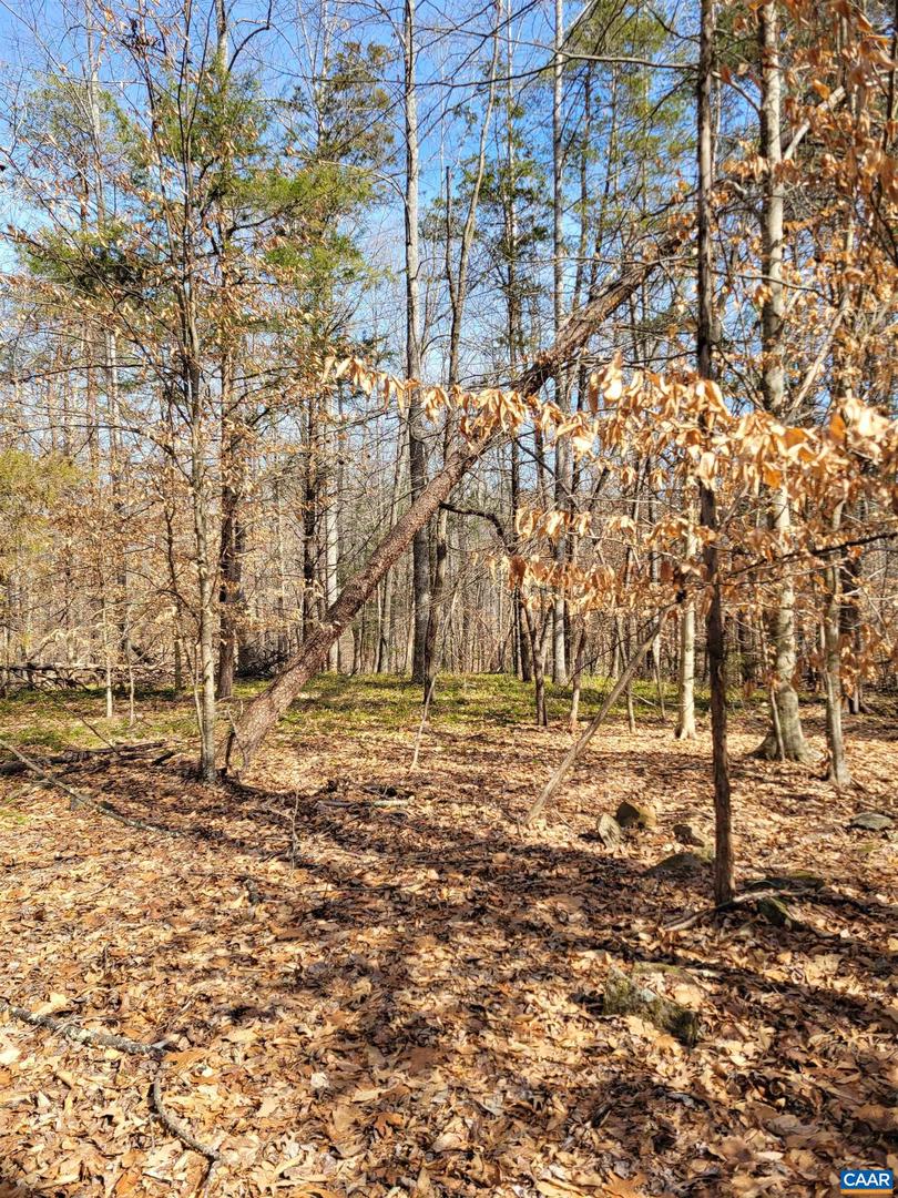 0 LEXIE LN, PALMYRA, Virginia 22963, ,Land,For sale,0 LEXIE LN,673604 MLS # 673604 0 LEXIE LN, PALMYRA, Virginia 22963, ,Land,For sale,0 LEXIE LN,673604 MLS # 673604