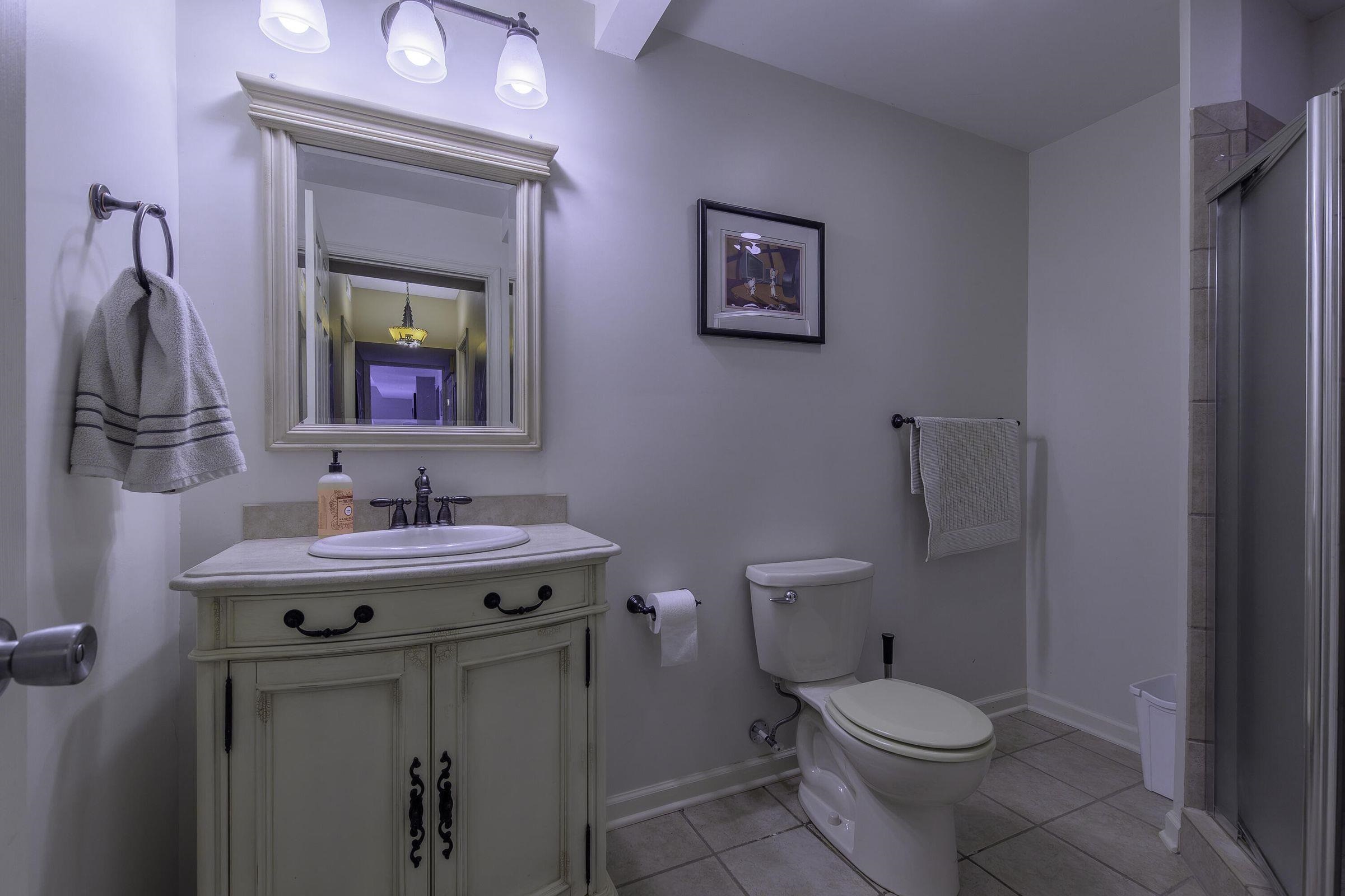 Lower level full bath. Lower level full bath.