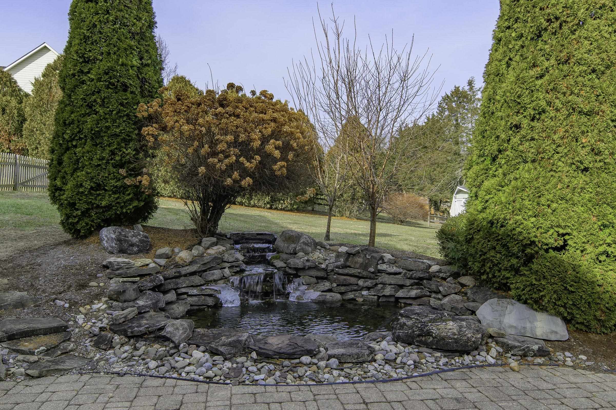 Sweet fish pond. Sweet fish pond.