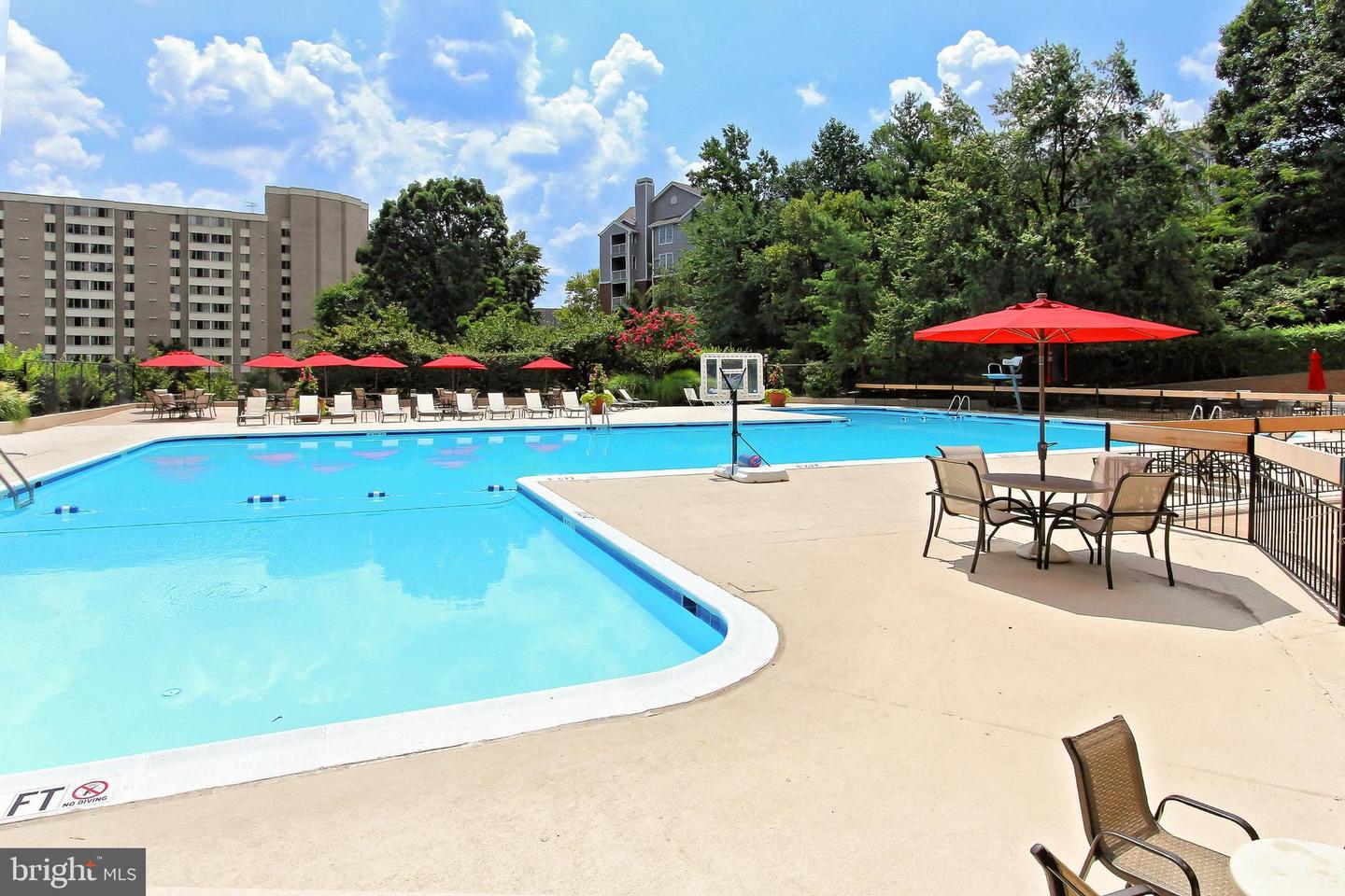 5500 HOLMES RUN PKWY #1507, ALEXANDRIA, Virginia 22304, 1 Bedroom Bedrooms, ,1 BathroomBathrooms,Residential,For sale,5500 HOLMES RUN PKWY #1507,VAAX2053864 MLS # VAAX2053864 5500 HOLMES RUN PKWY #1507, ALEXANDRIA, Virginia 22304, 1 Bedroom Bedrooms, ,1 BathroomBathrooms,Residential,For sale,5500 HOLMES RUN PKWY #1507,VAAX2053864 MLS # VAAX2053864