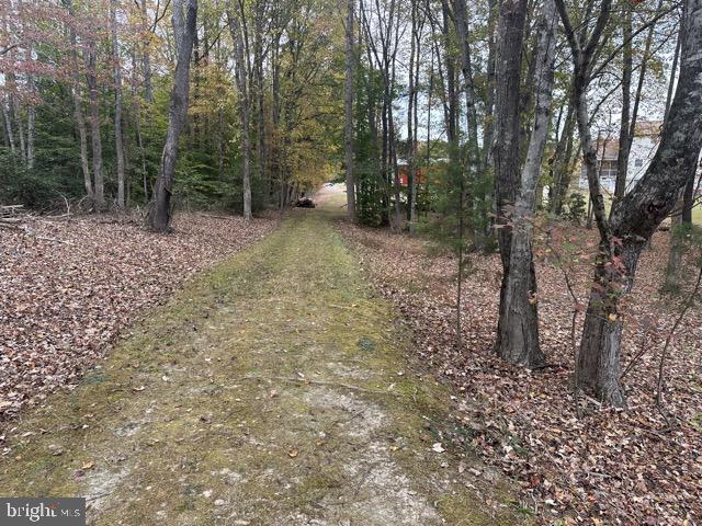 11543 CROSS COUNTY RD, MINERAL, Virginia 23117, 4 Bedrooms Bedrooms, ,4 BathroomsBathrooms,Residential,For sale,11543 CROSS COUNTY RD,VALA2009270 MLS # VALA2009270 11543 CROSS COUNTY RD, MINERAL, Virginia 23117, 4 Bedrooms Bedrooms, ,4 BathroomsBathrooms,Residential,For sale,11543 CROSS COUNTY RD,VALA2009270 MLS # VALA2009270