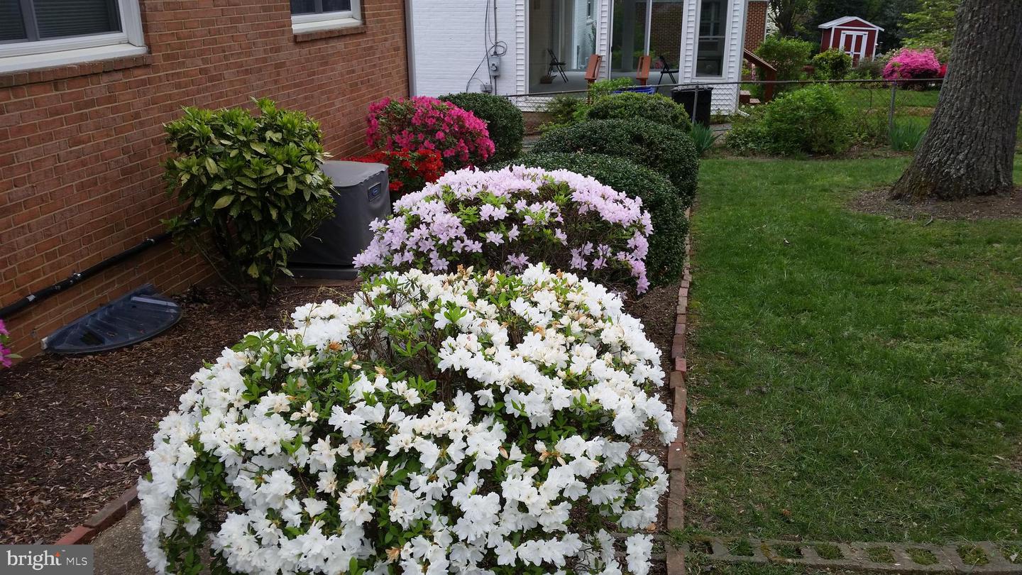 6052 6TH ST N, ARLINGTON, Virginia 22203, 3 Bedrooms Bedrooms, ,2 BathroomsBathrooms,Residential,For sale,6052 6TH ST N,VAAR2069028 MLS # VAAR2069028