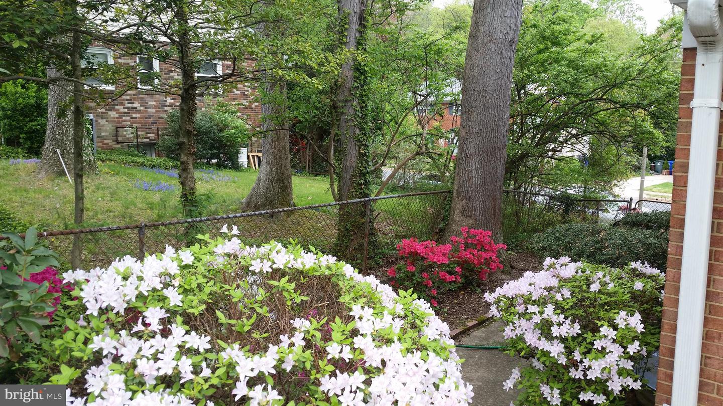 6052 6TH ST N, ARLINGTON, Virginia 22203, 3 Bedrooms Bedrooms, ,2 BathroomsBathrooms,Residential,For sale,6052 6TH ST N,VAAR2069028 MLS # VAAR2069028