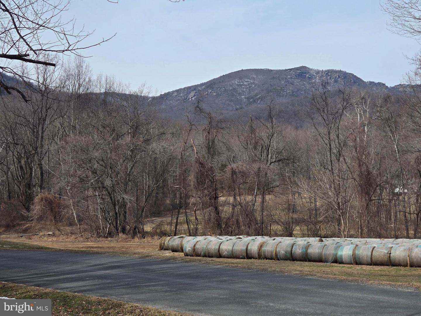 2996 ETLAN RD, ETLAN, Virginia 22719, 2 Bedrooms Bedrooms, ,2 BathroomsBathrooms,Residential,For sale,2996 ETLAN RD,VAMA2002610 MLS # VAMA2002610