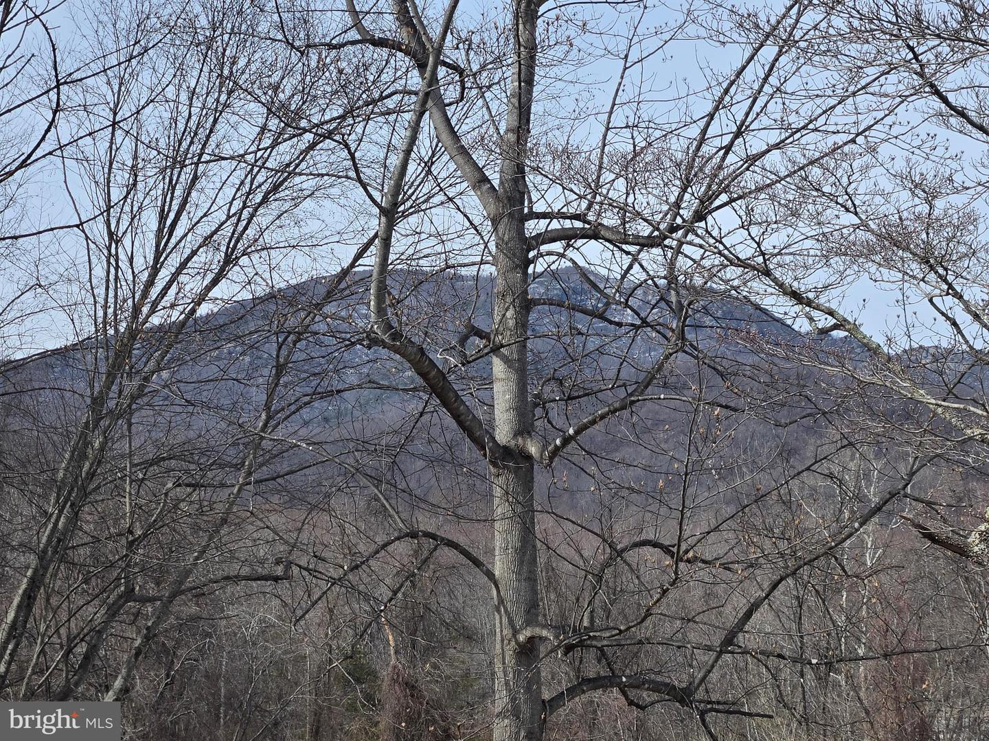 2996 ETLAN RD, ETLAN, Virginia 22719, 2 Bedrooms Bedrooms, ,2 BathroomsBathrooms,Residential,For sale,2996 ETLAN RD,VAMA2002610 MLS # VAMA2002610