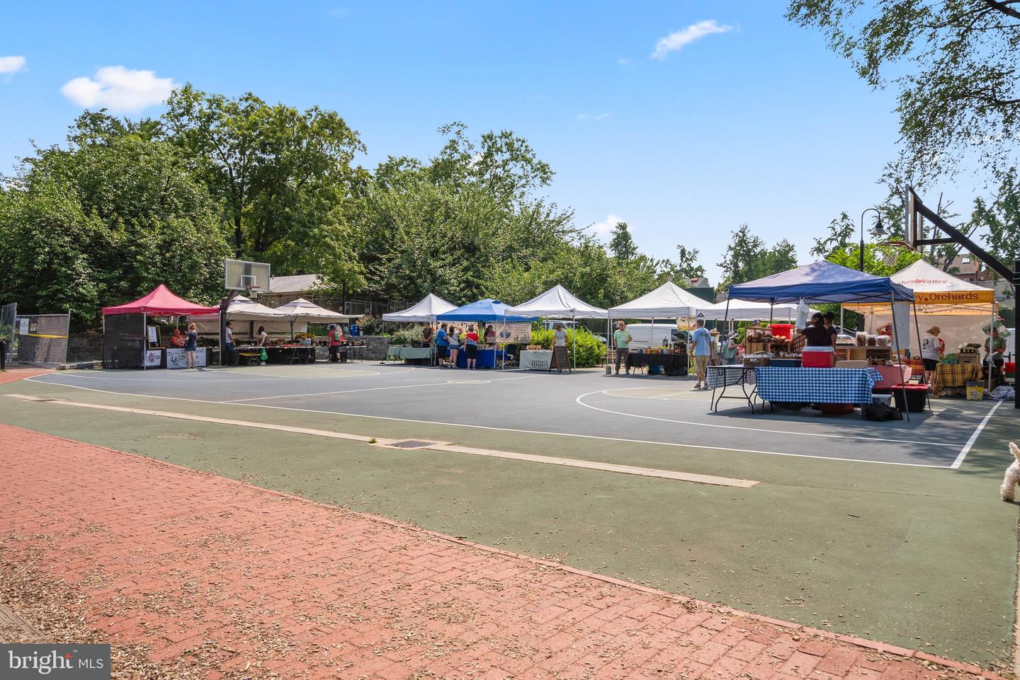 2500 Q ST NW #524, WASHINGTON, District Of Columbia 20007, ,1 BathroomBathrooms,Residential,For sale,2500 Q ST NW #524,DCDC2247498 MLS # DCDC2247498 2500 Q ST NW #524, WASHINGTON, District Of Columbia 20007, ,1 BathroomBathrooms,Residential,For sale,2500 Q ST NW #524,DCDC2247498 MLS # DCDC2247498