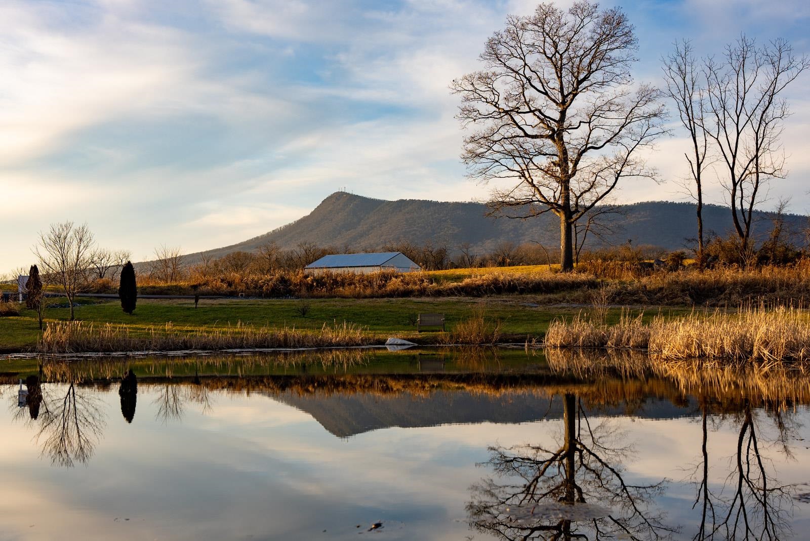 Lot-46 DALMATIAN DR, MCGAHEYSVILLE, Virginia 22840, ,Land,Lot-46 DALMATIAN DR,673626 MLS # 673626 Lot-46 DALMATIAN DR, MCGAHEYSVILLE, Virginia 22840, ,Land,Lot-46 DALMATIAN DR,673626 MLS # 673626