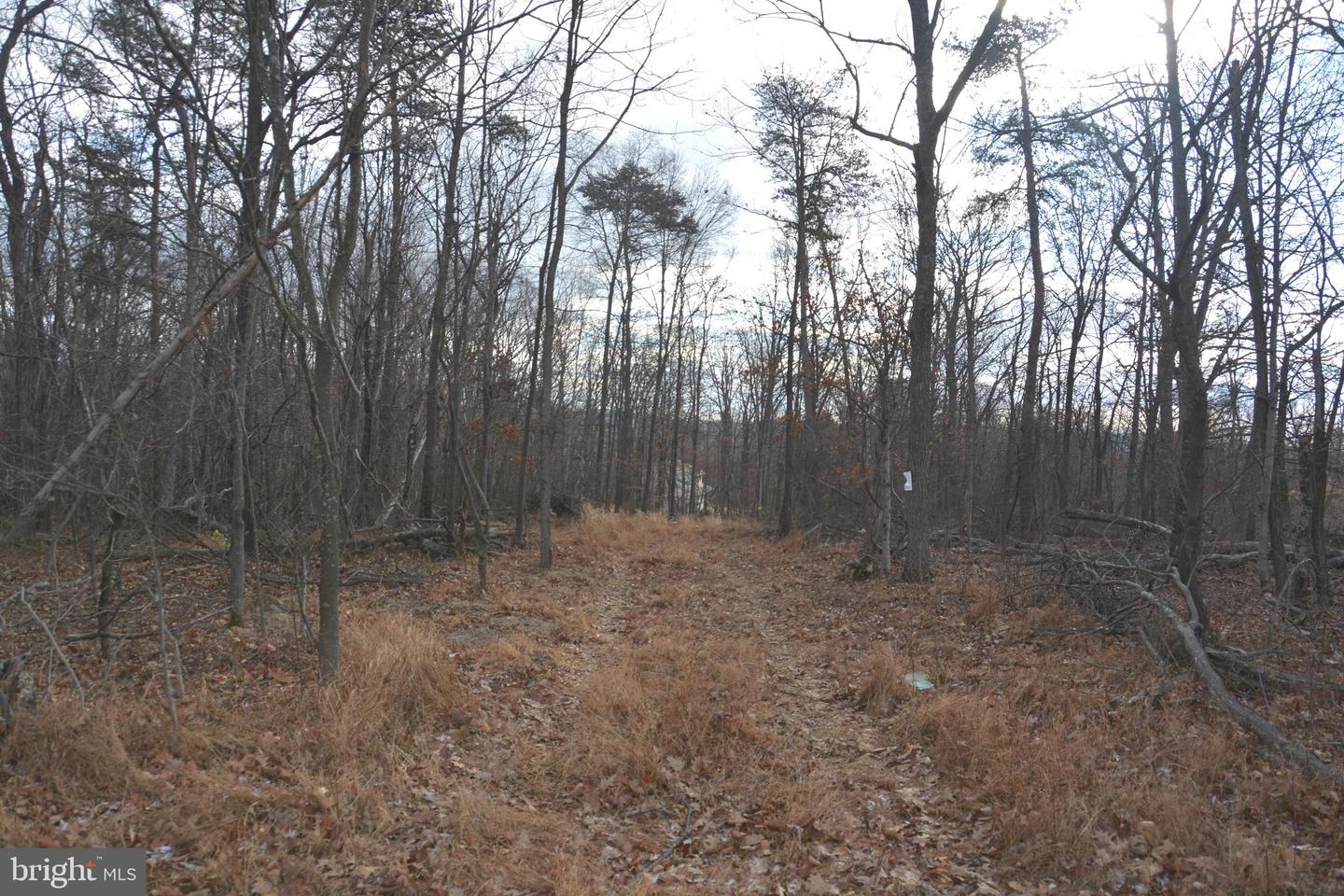 N TIMBER RIDGE RD #LOT 1 (54), CROSS JUNCTION, Virginia 22625, ,Land,For sale,N TIMBER RIDGE RD #LOT 1 (54),VAFV2039128 MLS # VAFV2039128 N TIMBER RIDGE RD #LOT 1 (54), CROSS JUNCTION, Virginia 22625, ,Land,For sale,N TIMBER RIDGE RD #LOT 1 (54),VAFV2039128 MLS # VAFV2039128