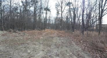 N TIMBER RIDGE RD #LOT 1 (54), CROSS JUNCTION, Virginia 22625, ,Land,For sale,N TIMBER RIDGE RD #LOT 1 (54),VAFV2039128 MLS # VAFV2039128