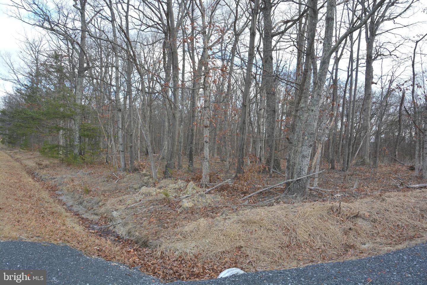 N TIMBER RIDGE RD #LOT 2 (54A), CROSS JUNCTION, Virginia 22625, ,Land,For sale,N TIMBER RIDGE RD #LOT 2 (54A),VAFV2039142 MLS # VAFV2039142 N TIMBER RIDGE RD #LOT 2 (54A), CROSS JUNCTION, Virginia 22625, ,Land,For sale,N TIMBER RIDGE RD #LOT 2 (54A),VAFV2039142 MLS # VAFV2039142