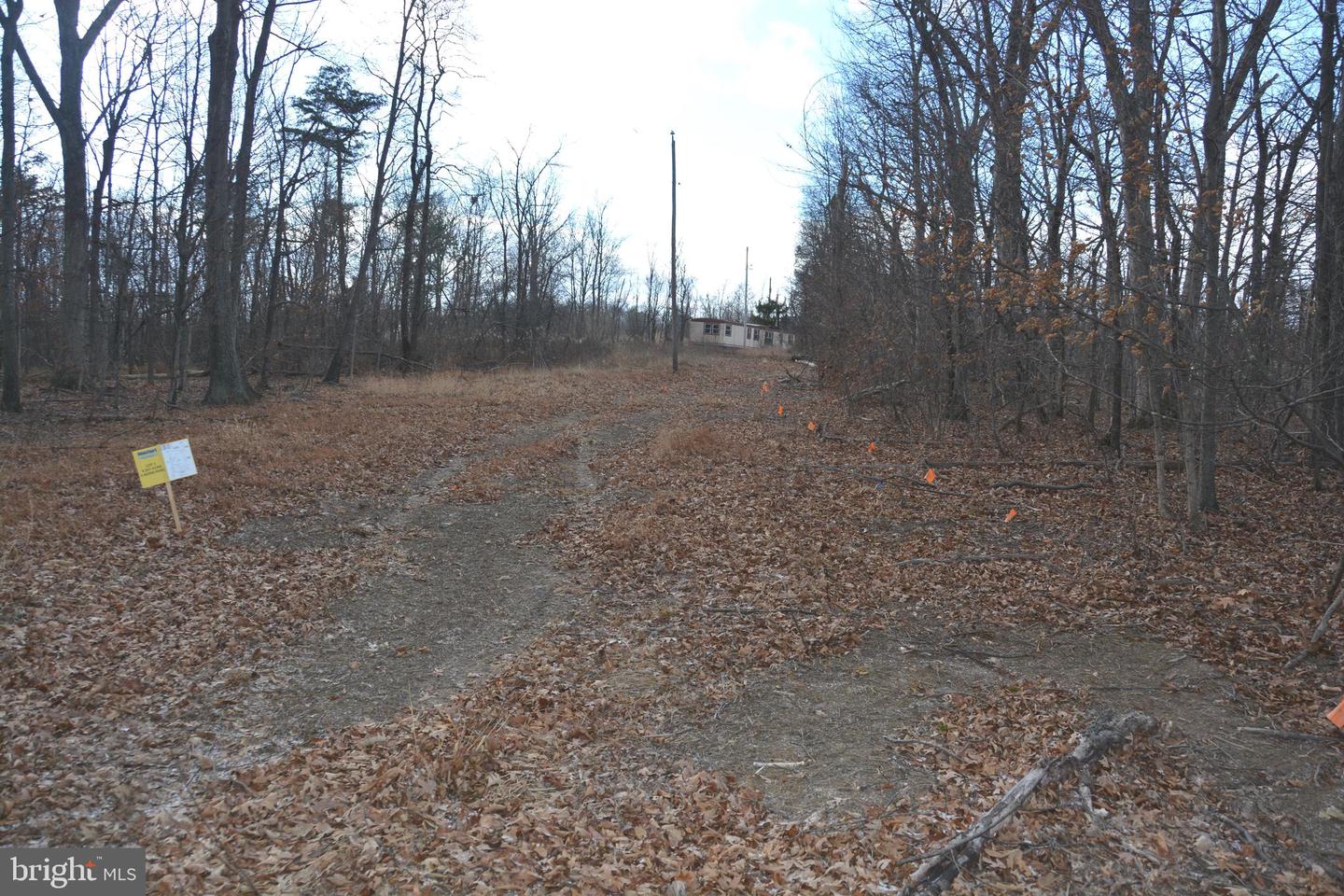 N TIMBER RIDGE RD #LOT 2 (54A), CROSS JUNCTION, Virginia 22625, ,Land,For sale,N TIMBER RIDGE RD #LOT 2 (54A),VAFV2039142 MLS # VAFV2039142 N TIMBER RIDGE RD #LOT 2 (54A), CROSS JUNCTION, Virginia 22625, ,Land,For sale,N TIMBER RIDGE RD #LOT 2 (54A),VAFV2039142 MLS # VAFV2039142