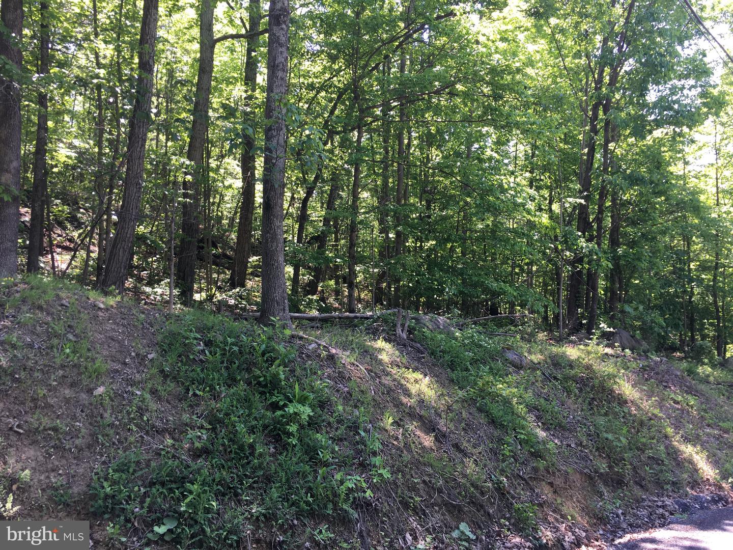 0 DRUMMER HILL, FRONT ROYAL, Virginia 22630, ,Land,For sale,0 DRUMMER HILL,VAWR2013242 MLS # VAWR2013242 0 DRUMMER HILL, FRONT ROYAL, Virginia 22630, ,Land,For sale,0 DRUMMER HILL,VAWR2013242 MLS # VAWR2013242