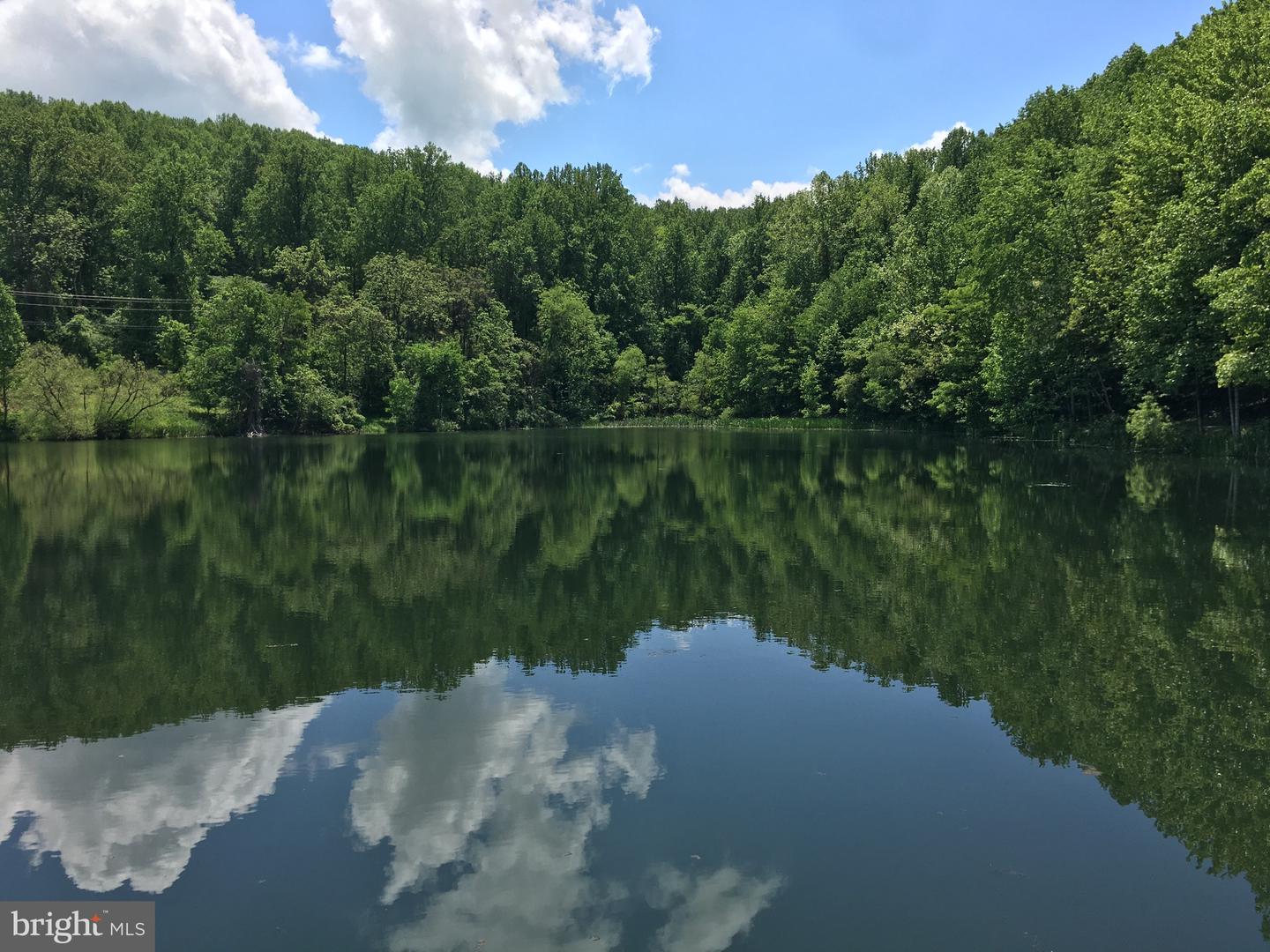 0 DRUMMER HILL, FRONT ROYAL, Virginia 22630, ,Land,For sale,0 DRUMMER HILL,VAWR2013242 MLS # VAWR2013242 0 DRUMMER HILL, FRONT ROYAL, Virginia 22630, ,Land,For sale,0 DRUMMER HILL,VAWR2013242 MLS # VAWR2013242