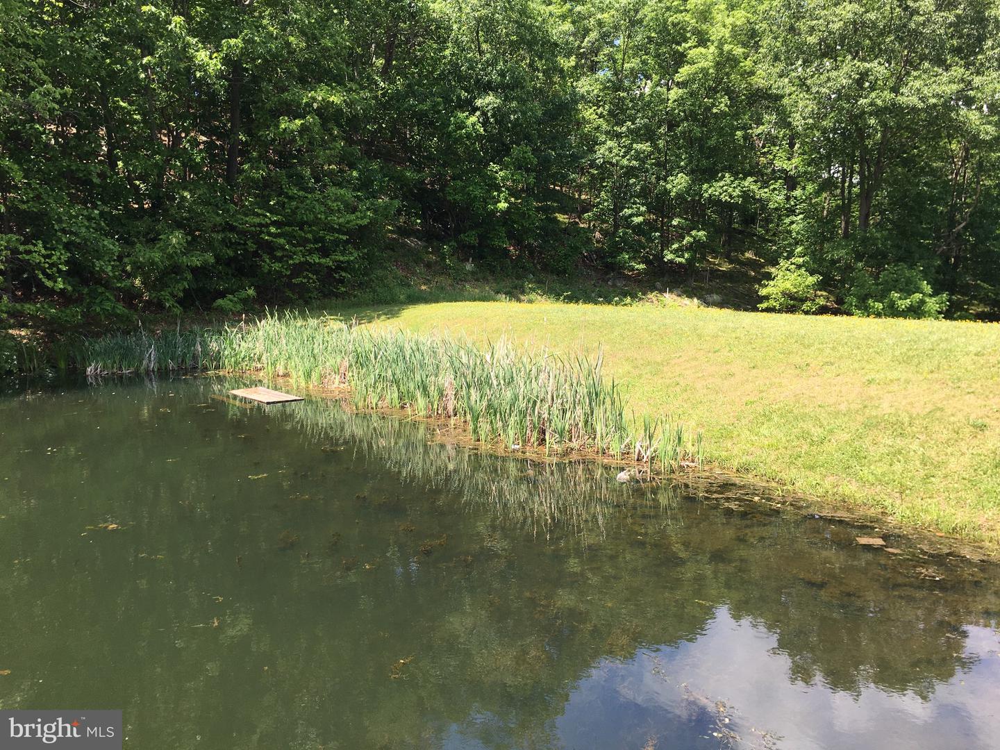 0 DRUMMER HILL, FRONT ROYAL, Virginia 22630, ,Land,For sale,0 DRUMMER HILL,VAWR2013242 MLS # VAWR2013242 0 DRUMMER HILL, FRONT ROYAL, Virginia 22630, ,Land,For sale,0 DRUMMER HILL,VAWR2013242 MLS # VAWR2013242