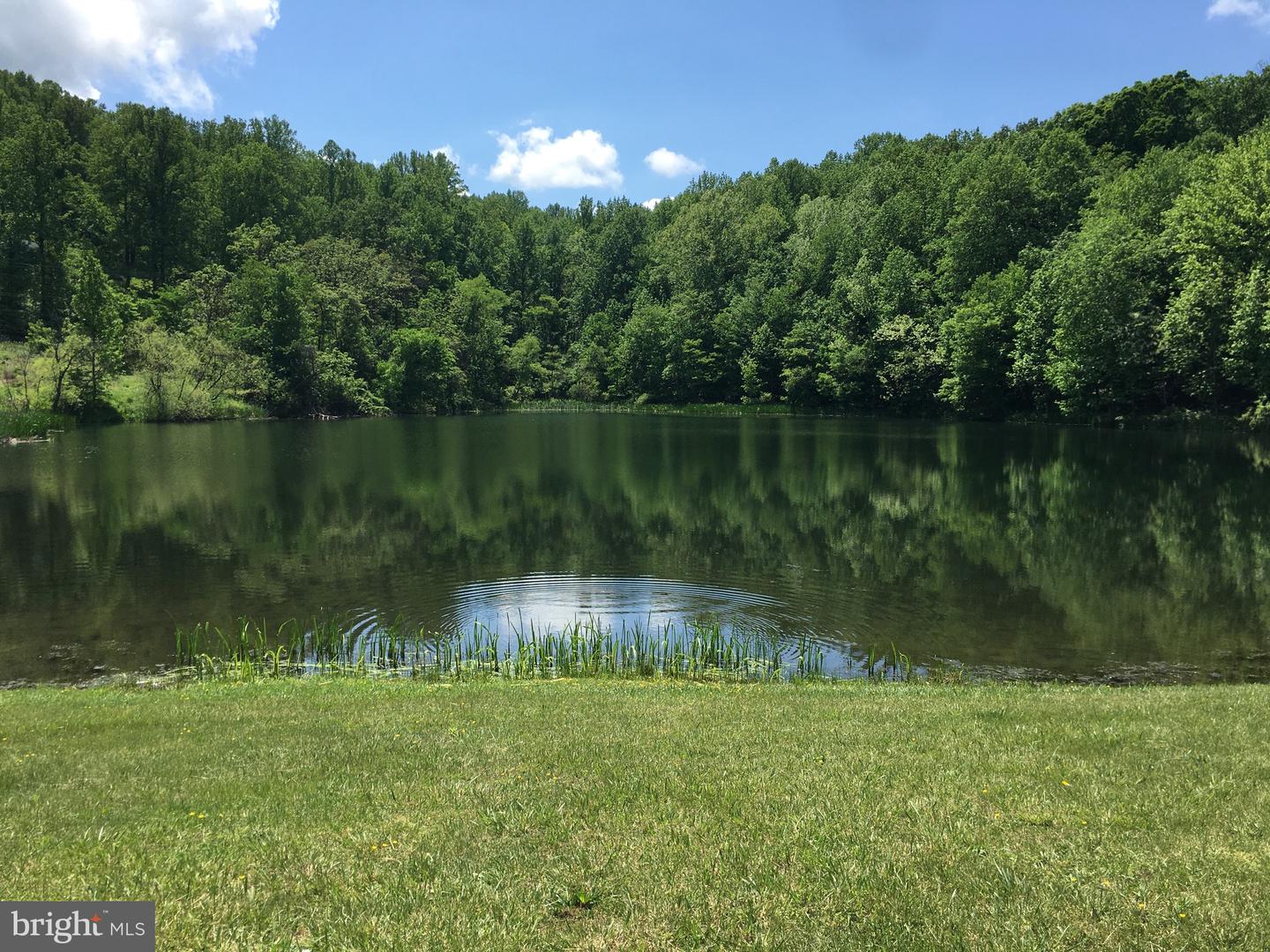 0 DRUMMER HILL, FRONT ROYAL, Virginia 22630, ,Land,For sale,0 DRUMMER HILL,VAWR2013242 MLS # VAWR2013242 0 DRUMMER HILL, FRONT ROYAL, Virginia 22630, ,Land,For sale,0 DRUMMER HILL,VAWR2013242 MLS # VAWR2013242